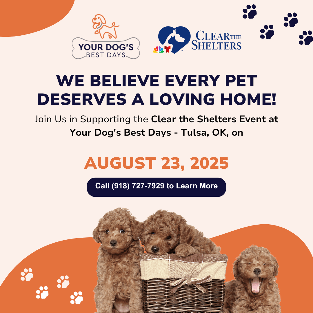 Clear the Shelter Banner August 2025