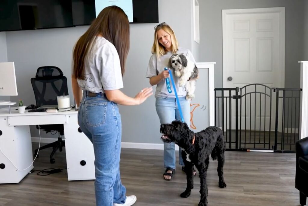 10 Tips for Making Your Dog’s Boarding Stay Enjoyable 2 Dog Boarding