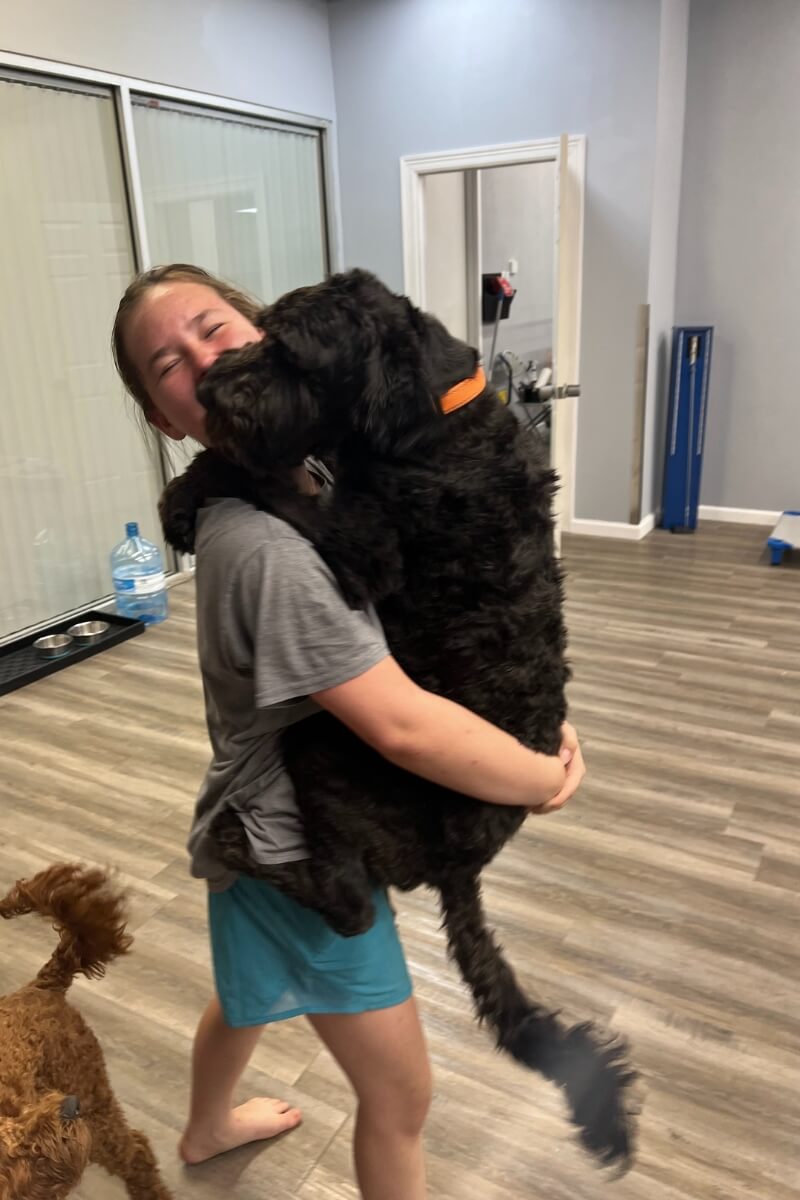 Women Holding Black Dog in Arms