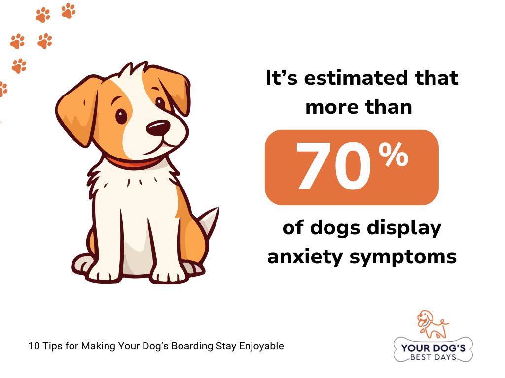 10 Tips for Making Your Dog’s Boarding Stay Enjoyable 3 dog anxiety