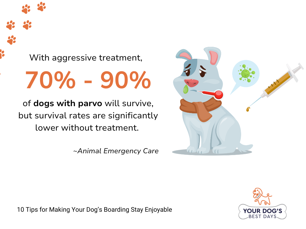 dogs with parvo survival rate
