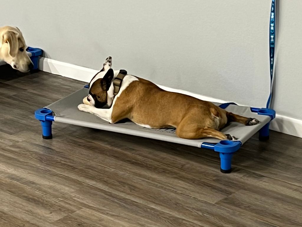 reinstate their routine