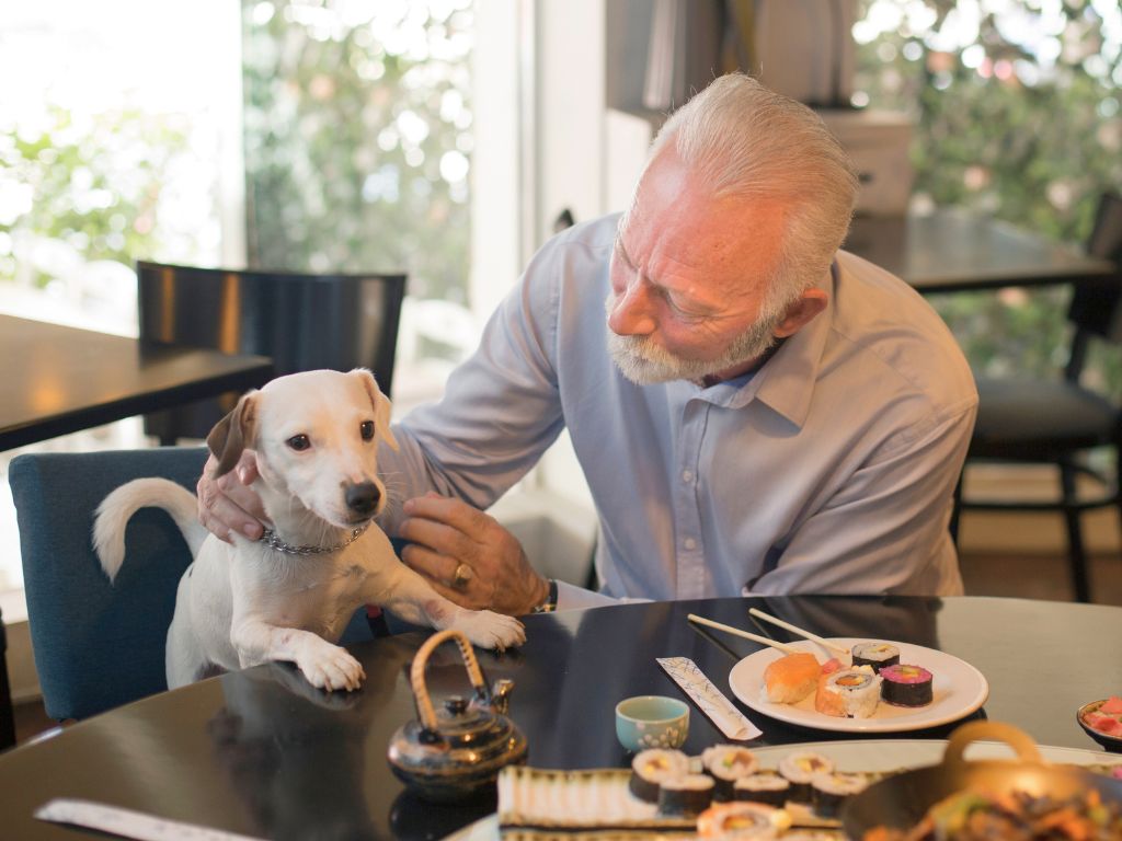A person enjoys a meal with a small dog at a dining table filled with sushi and tea, surrounded by bright natural light.