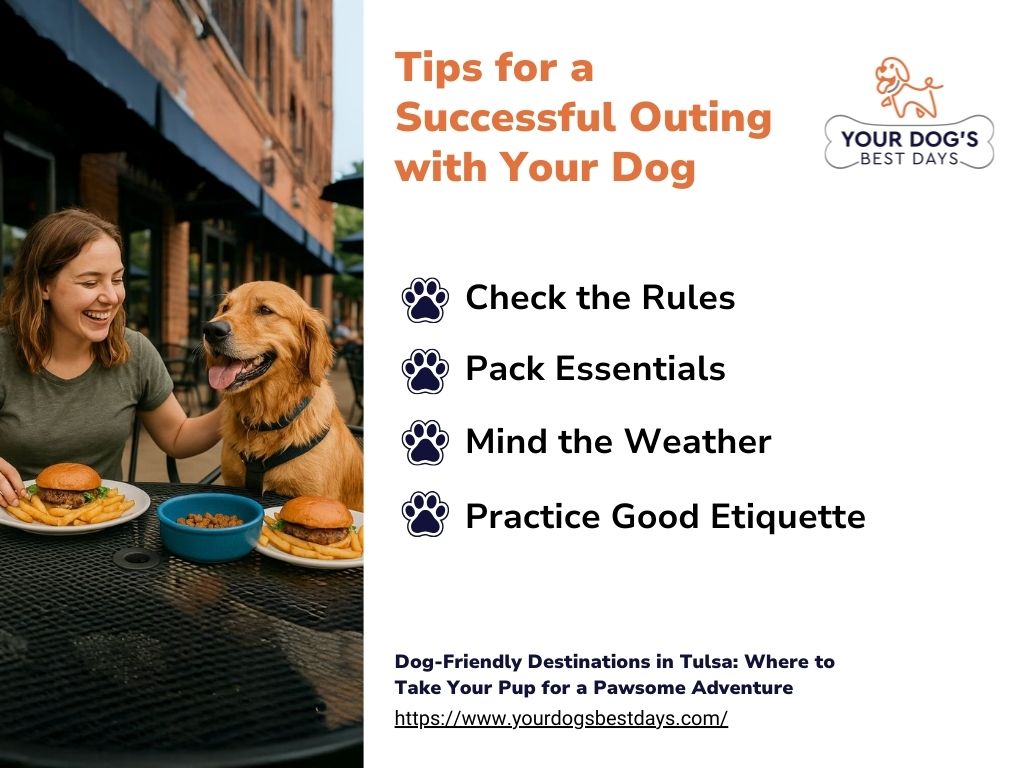 Woman and dog sitting at an outdoor table with burgers. Text: "Tips for a Successful Outing with Your Dog: Check Rules, Pack Essentials, Mind Weather, Practice Good Etiquette.