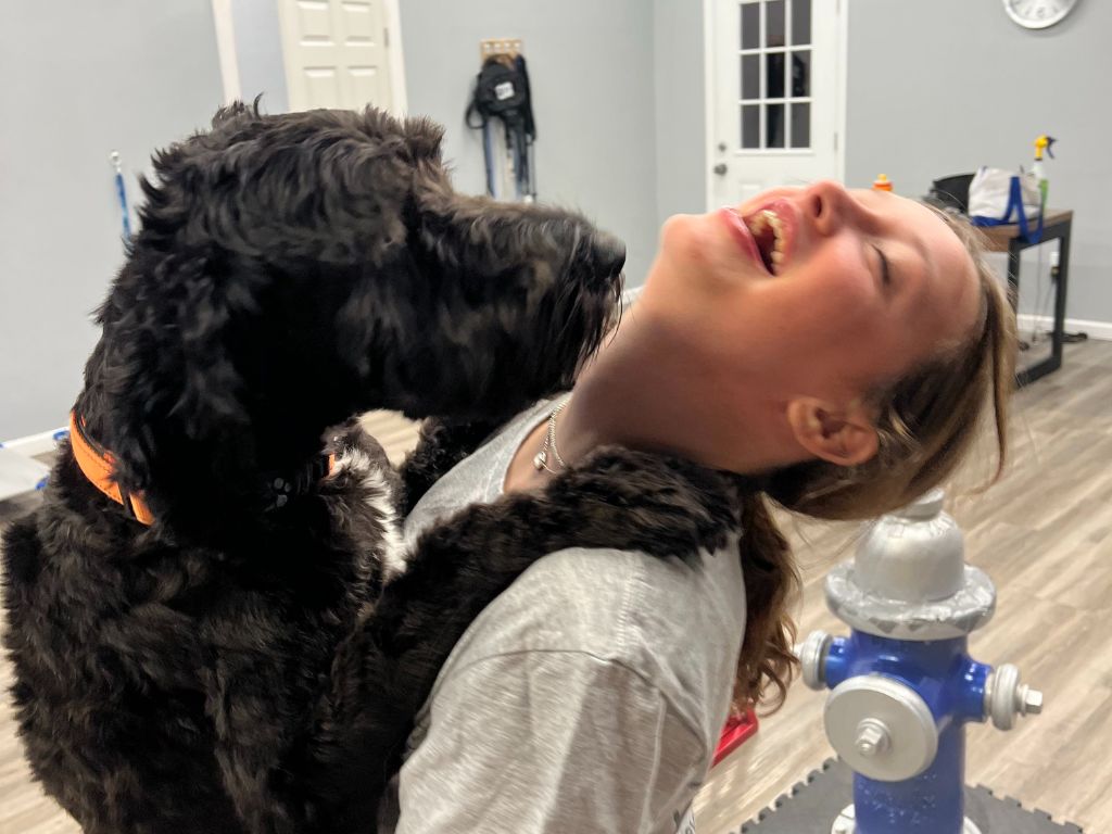 A playful dog leans in, seeming to hug a person while they smile, surrounded by a cozy indoor setting with a fire hydrant toy nearby.