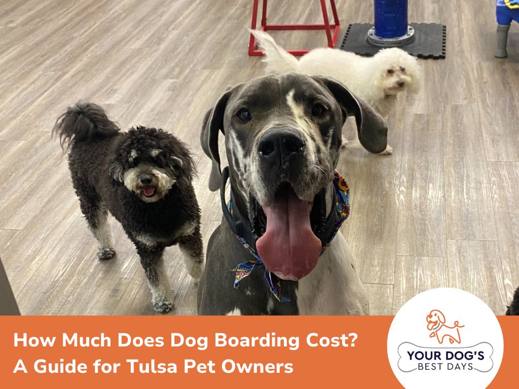 How Much Does Dog Boarding Cost? A Guide for Tulsa Pet Owners 1 How Much Does Dog Boarding Cost? A Guide for Tulsa Pet Owners