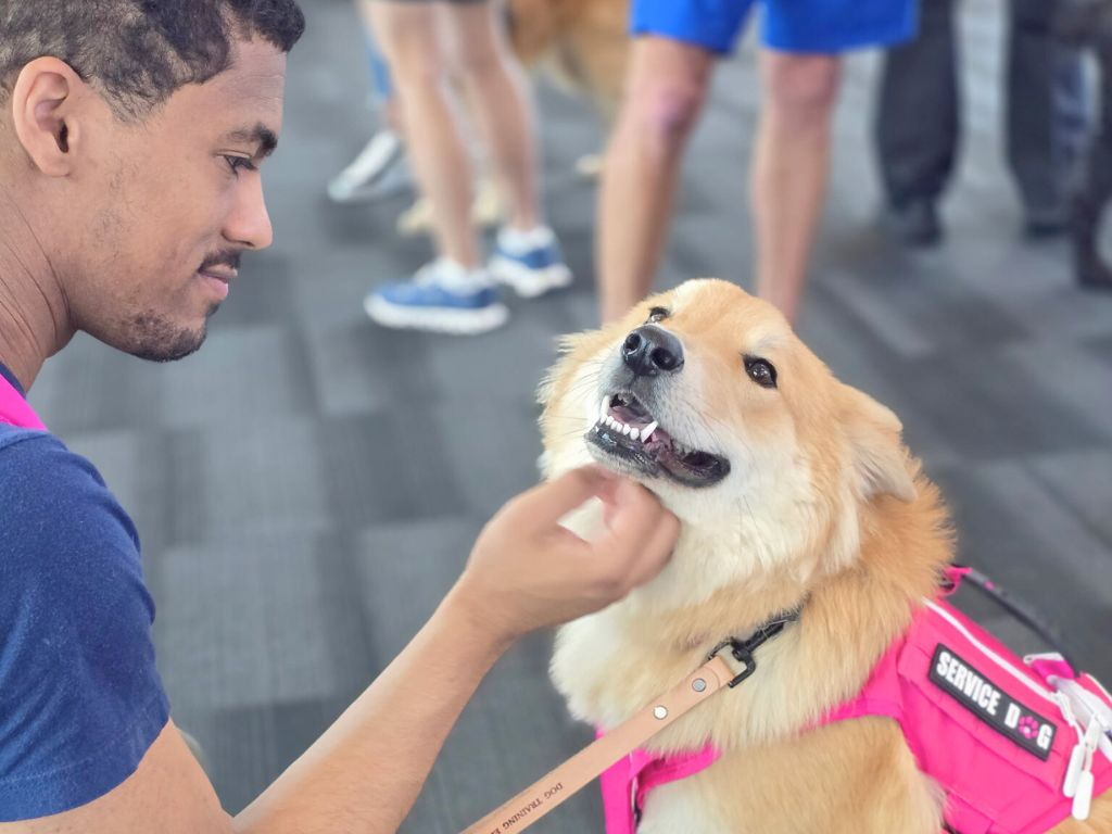 How Much Does Dog Boarding Cost? A Guide for Tulsa Pet Owners 6 dog smiling with owner