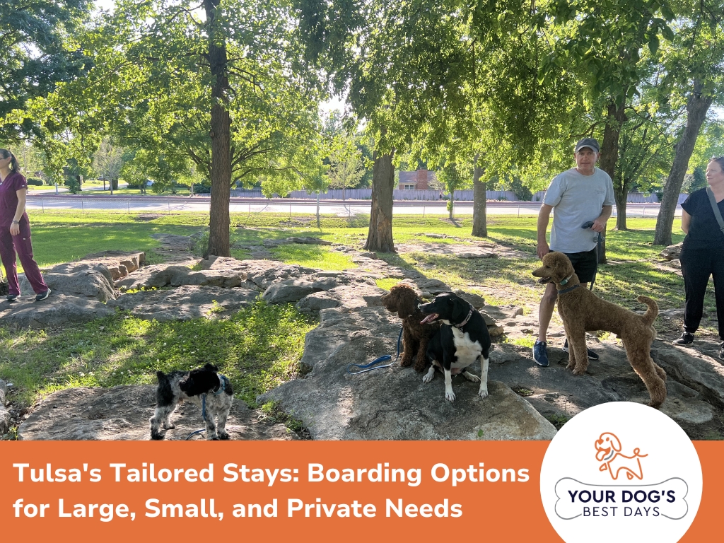 large-dog-boarding-tulsa-image-