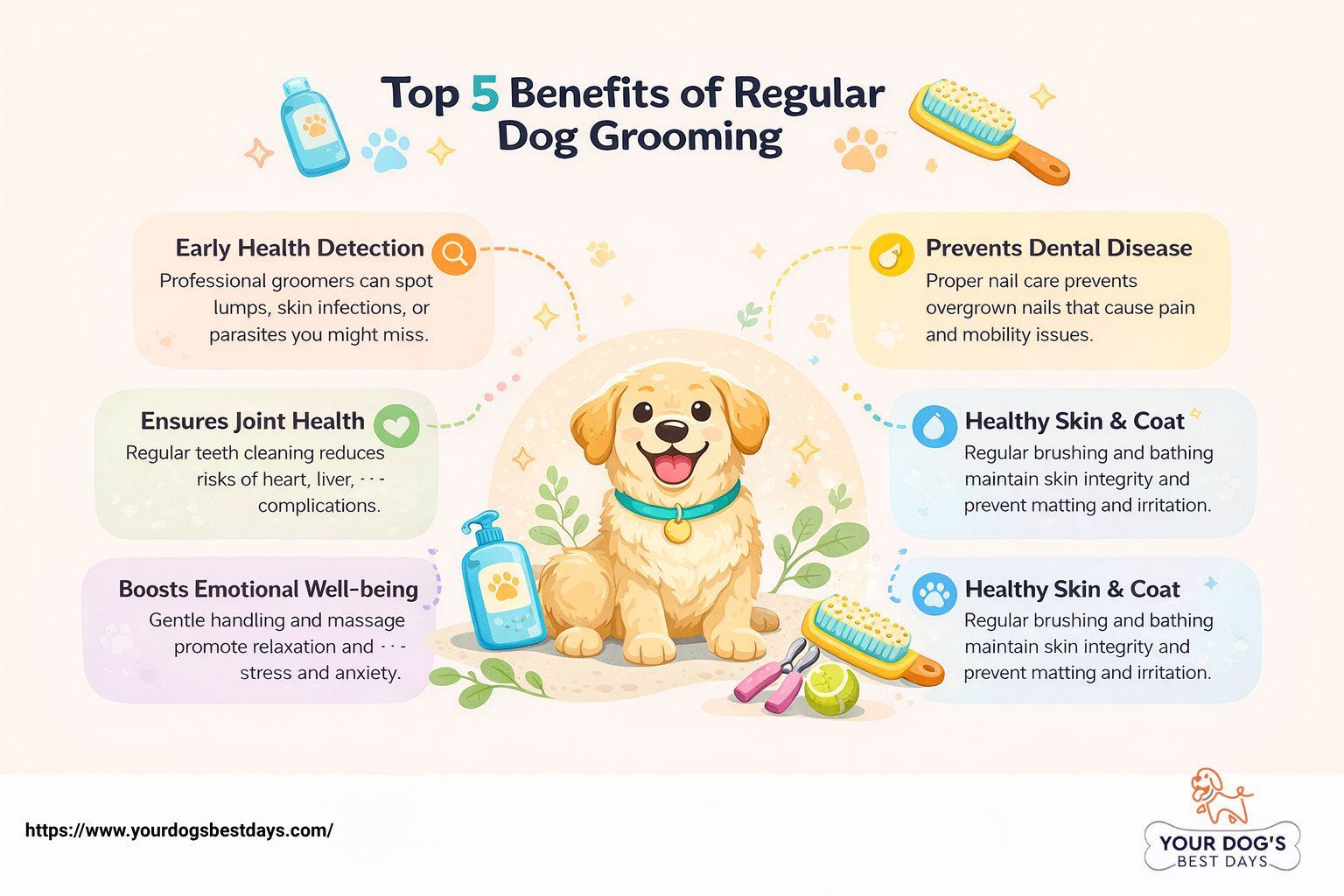 Alt text: Illustrated infographic titled "Top 5 Benefits of Regular Dog Grooming" featuring a happy dog surrounded by grooming items and benefits: early health detection, dental disease prevention, joint health, emotional well-being, and healthy skin and coat mentioned in colorful bubbles.