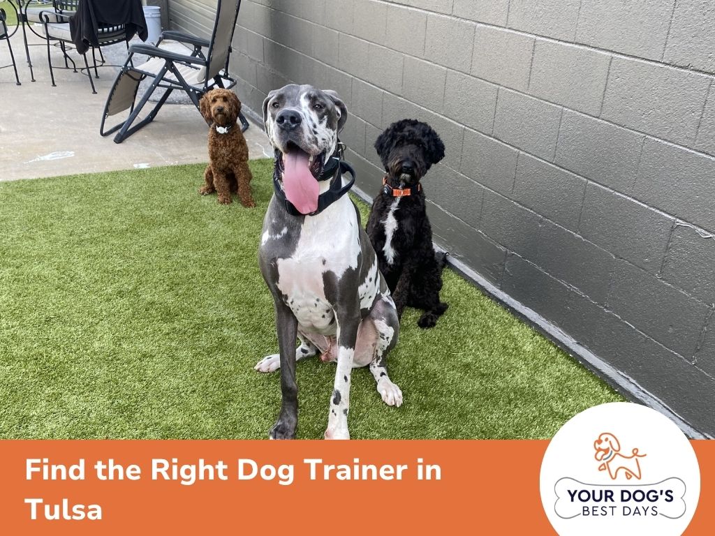 dog trainers tulsa ok