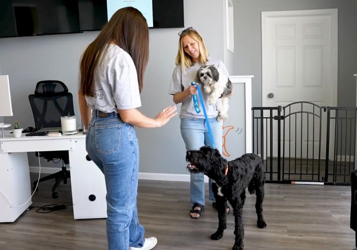 Dog Boarding