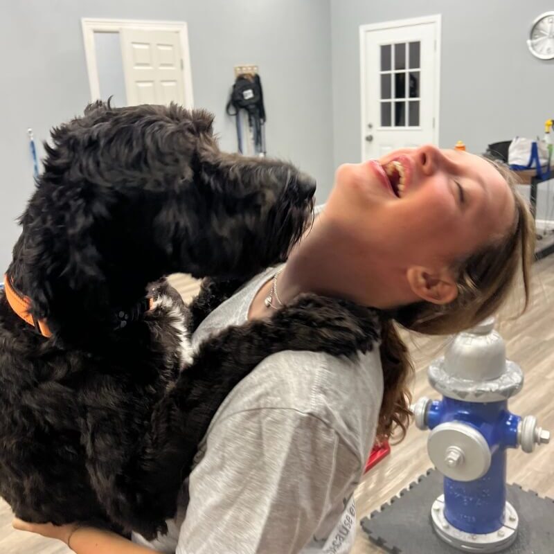Women Playing with Dogs by holding in her hands